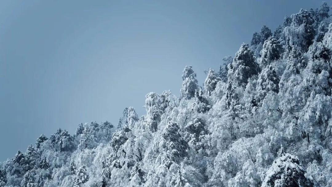 广发银行持续为区域发展注入“源头活水”